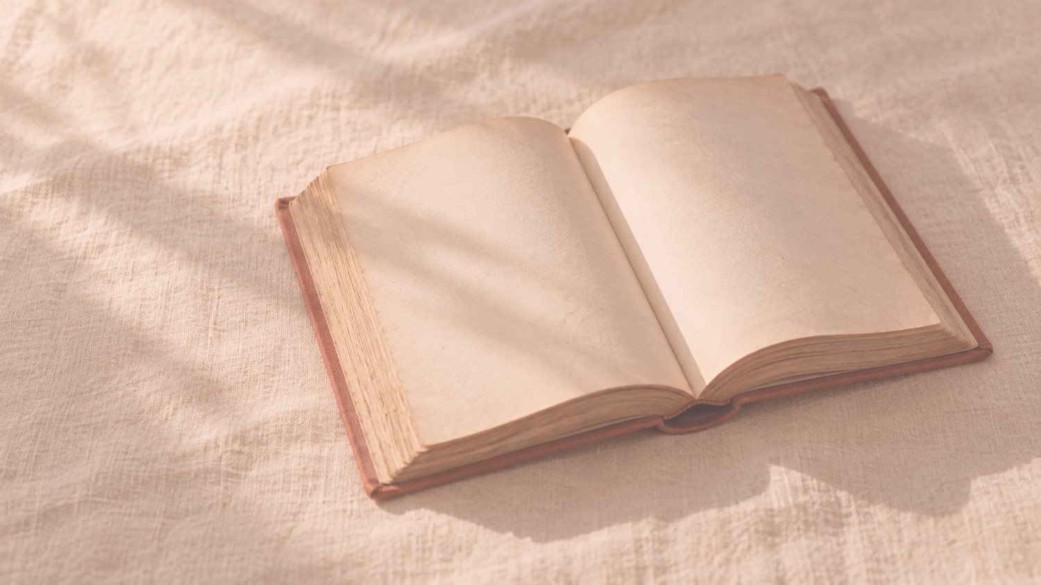 一本攤開的書